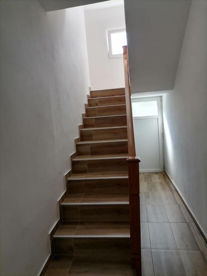 Apartmani 15 采蒂涅 外观 照片